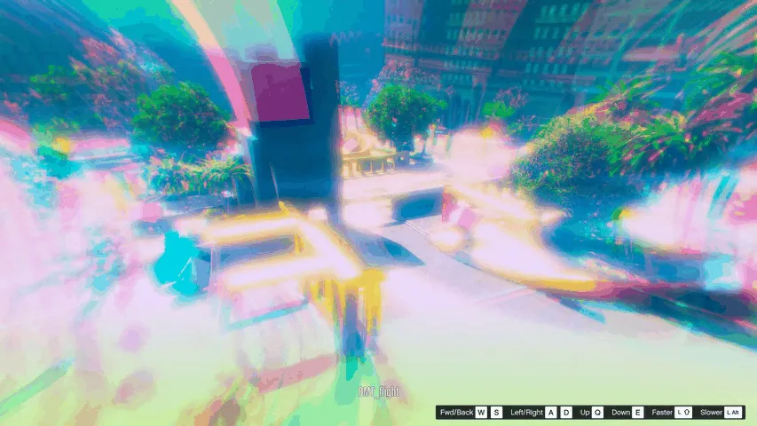 DMT_flight